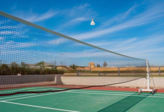 Filet de badminton