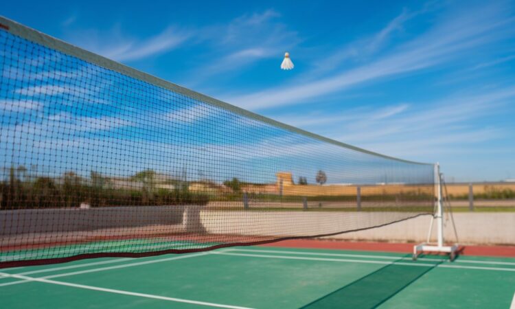 Filet de badminton